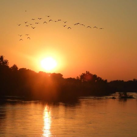 Bongan Safari Lodge Mbabat Ngoại thất bức ảnh