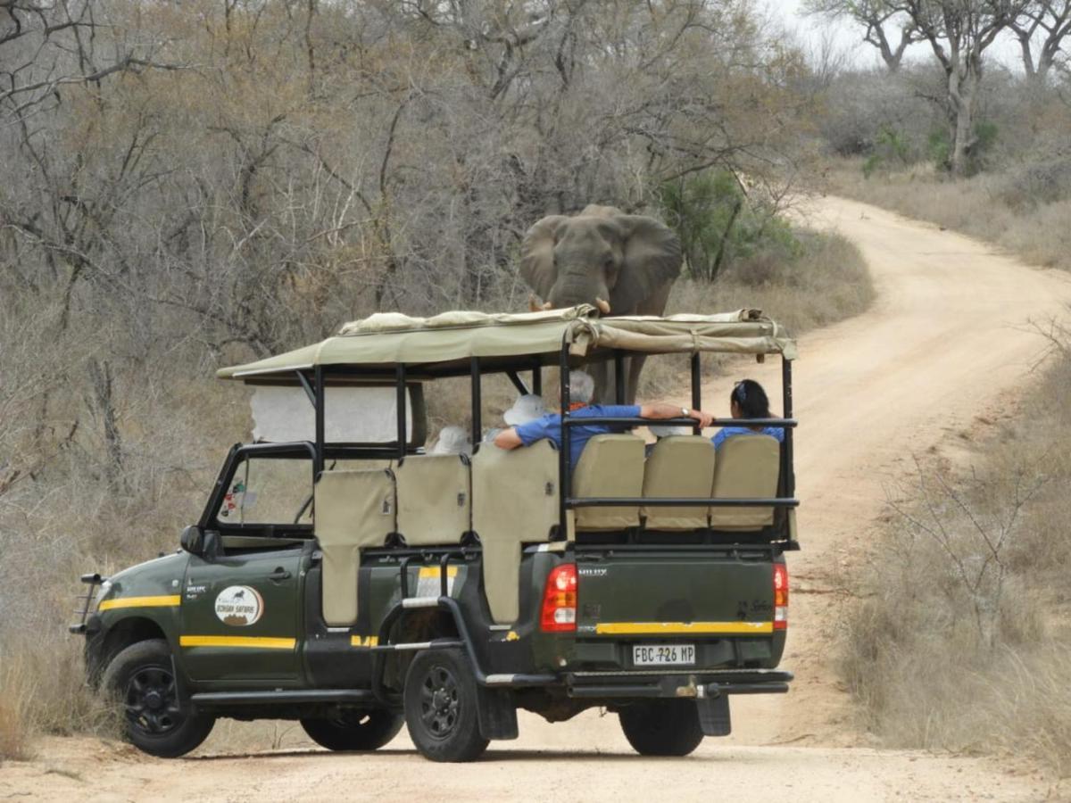 Bongan Safari Lodge Mbabat Ngoại thất bức ảnh